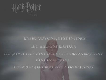 harry potter