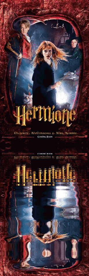 hermione dans hp 2